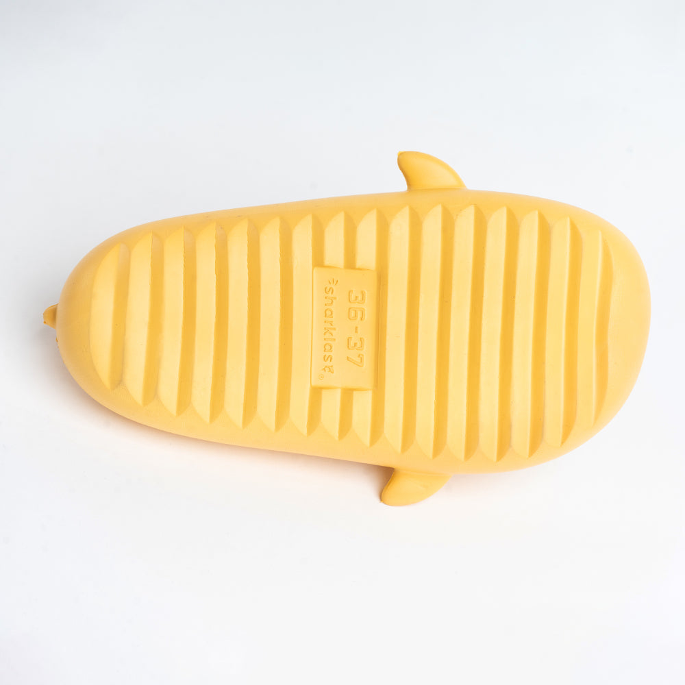 Sharklas Doradas